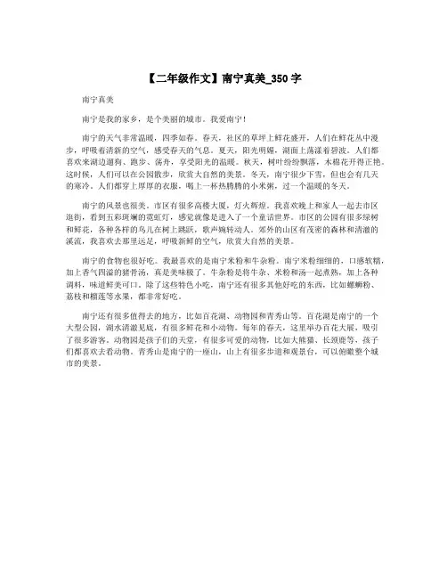 【二年级作文】南宁真美_350字
