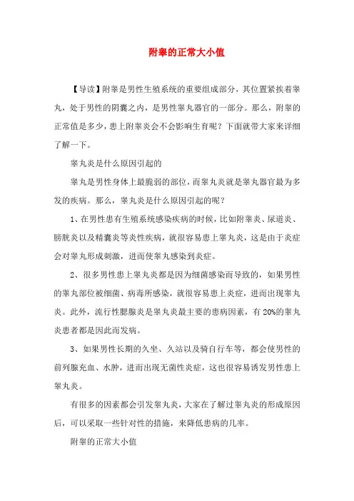 附睾的正常大小值
