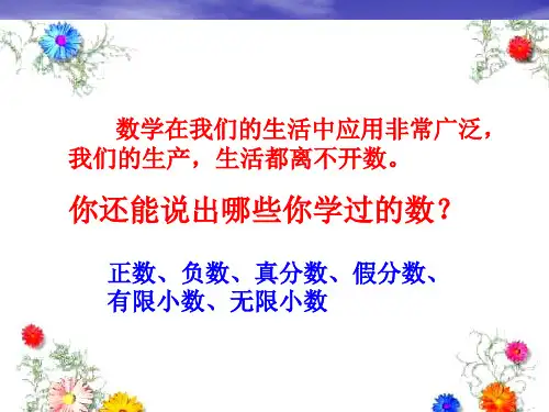 人教版小学数学六年级总复习--数与代数优秀课件