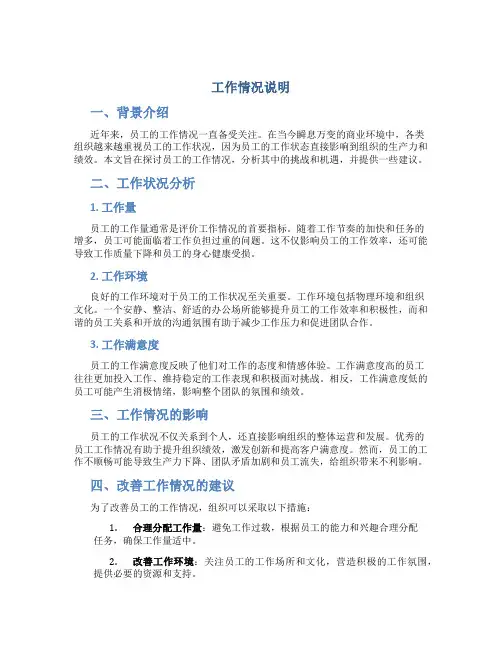 工作情况说明