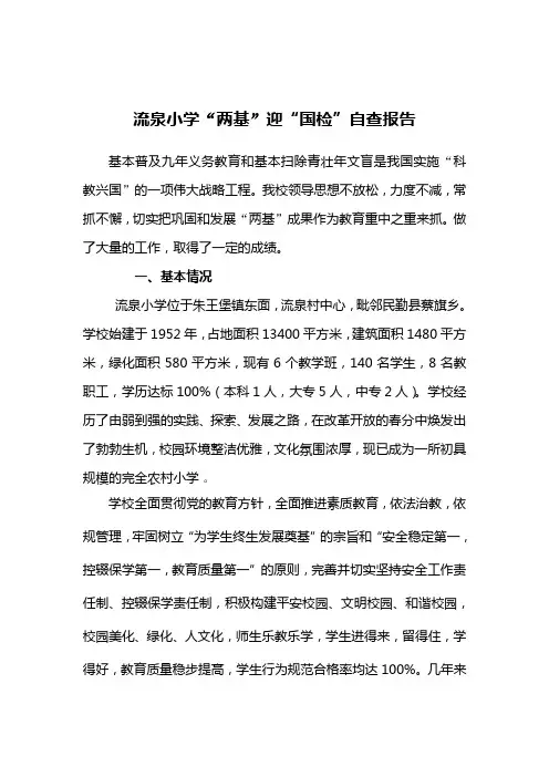 流泉小学国检自查报告