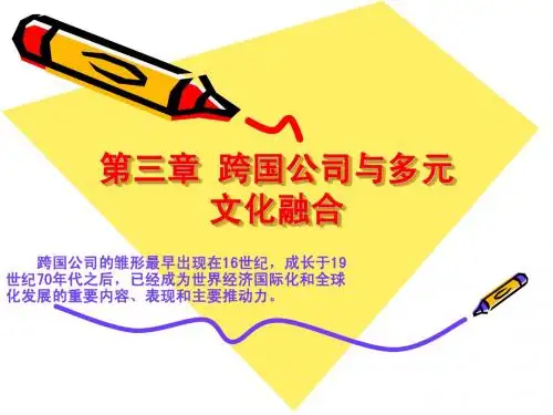 跨国公司文化
