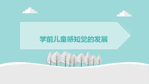 学前儿童感知觉的发展