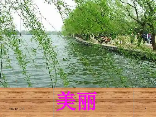 小学语文六年级下册第十八课《跨越百年的美丽》课件