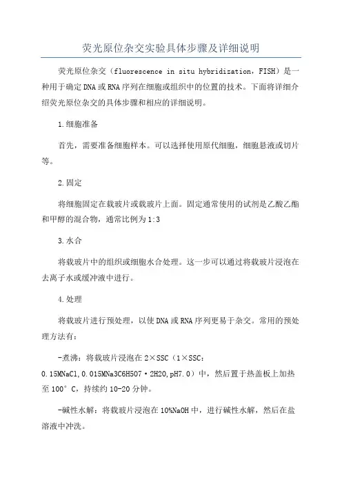 荧光原位杂交实验具体步骤及详细说明