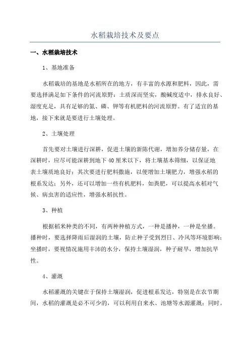 水稻栽培技术及要点