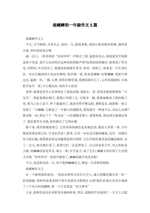 捉蟋蟀的一年级作文5篇