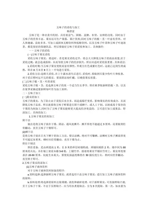 五味子的采收与加工