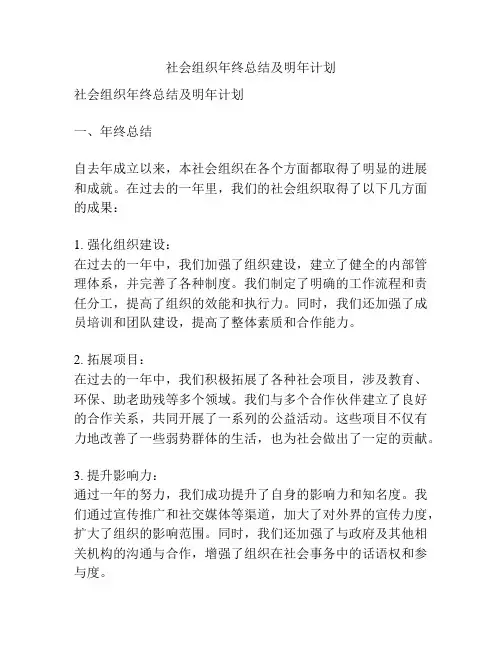 社会组织年终总结及明年计划