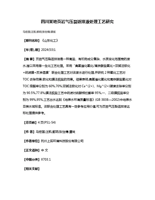 四川某地页岩气压裂返排液处理工艺研究