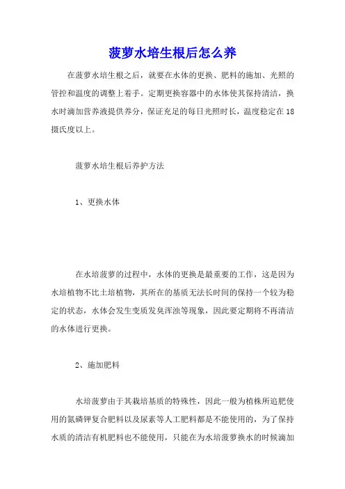 菠萝水培生根后怎么养