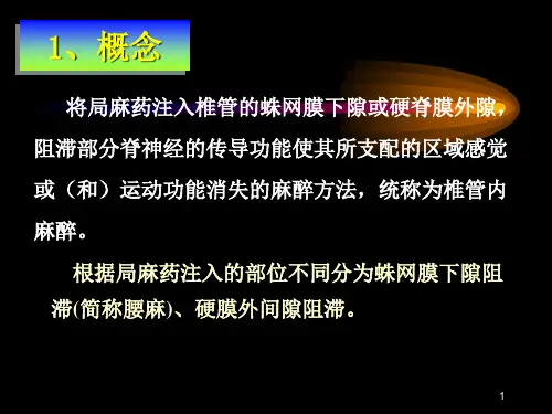 椎管内麻醉44页PPT