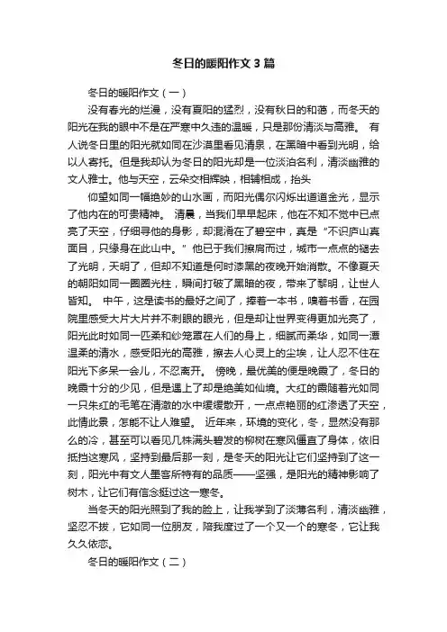 冬日的暖阳作文3篇