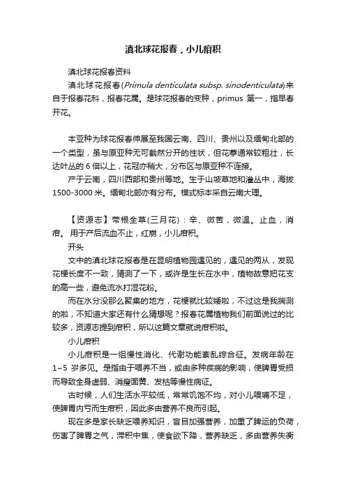 滇北球花报春，小儿疳积
