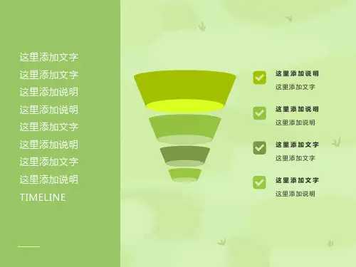 漂亮精美的(时间轴)ppt模板