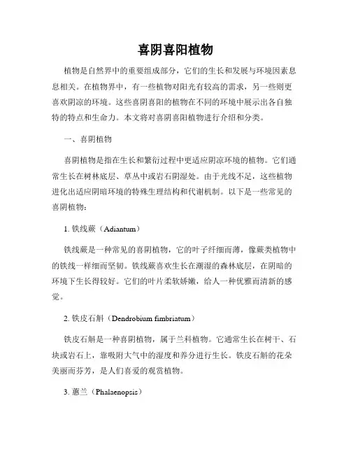 喜阴喜阳植物