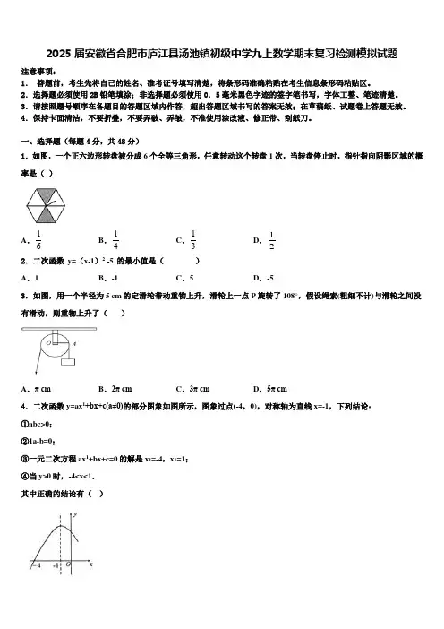 2025届安徽省合肥市庐江县汤池镇初级中学九上数学期末复习检测模拟试题含解析