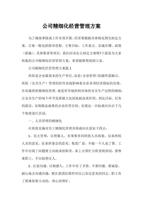 公司精细化经营管理方案
