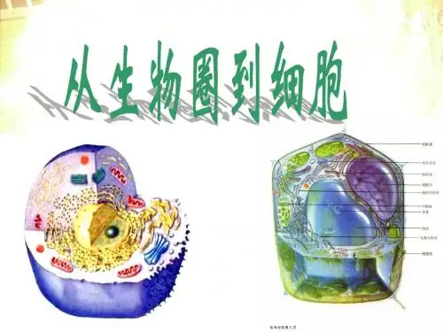 人教版高中生物必修一第一章第一节从生物圈到细胞  课件.(共31张PPT)