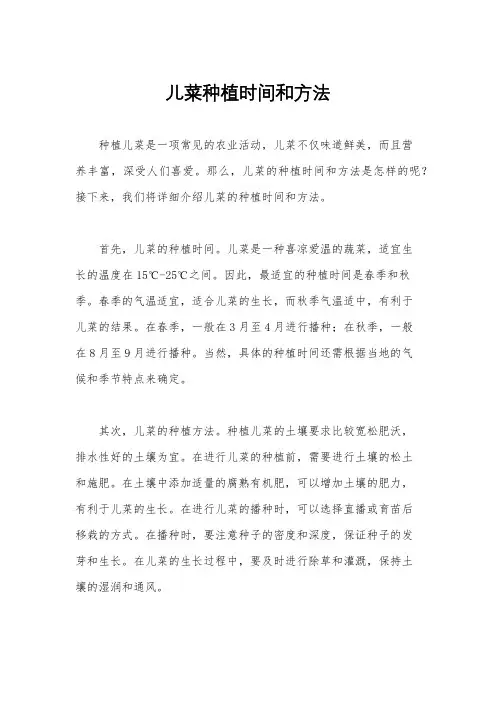 儿菜种植时间和方法