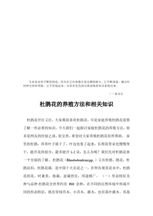 杜鹃花的养殖方法与相关知识