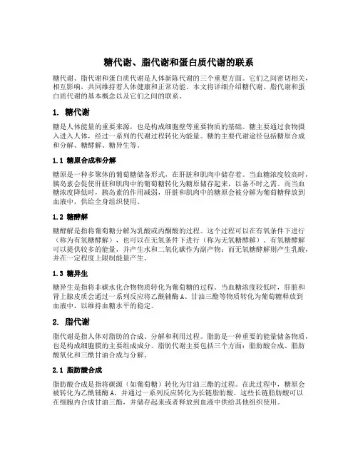 糖代谢脂代谢蛋白质代谢三者之间的联系