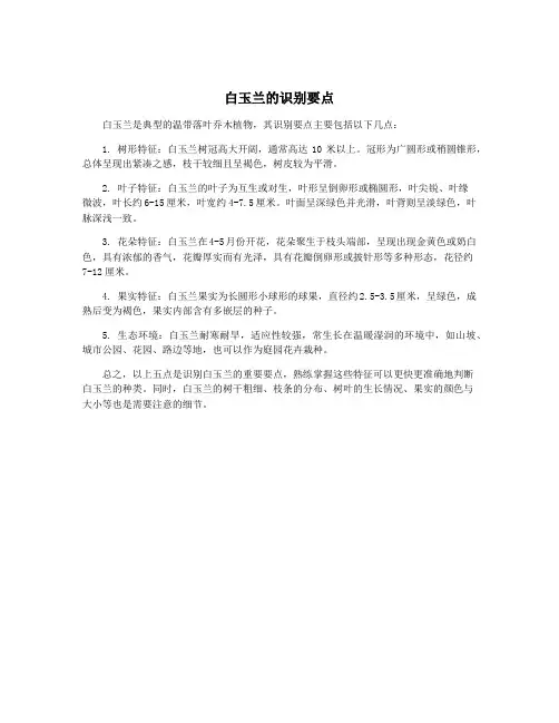 白玉兰的识别要点