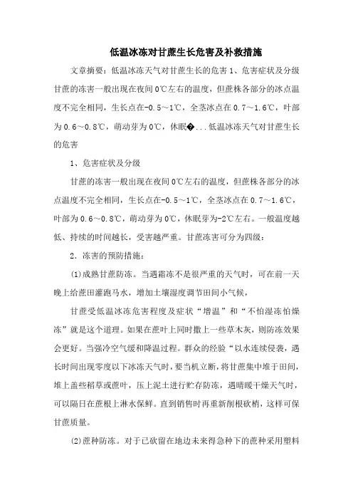 低温冰冻对甘蔗生长危害及补救措施