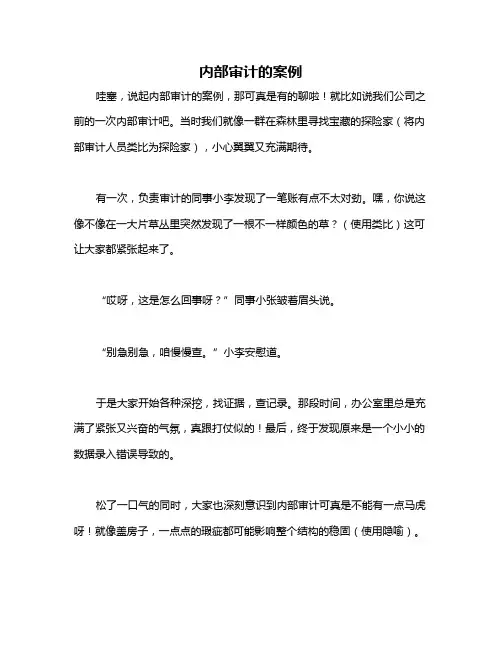 内部审计的案例