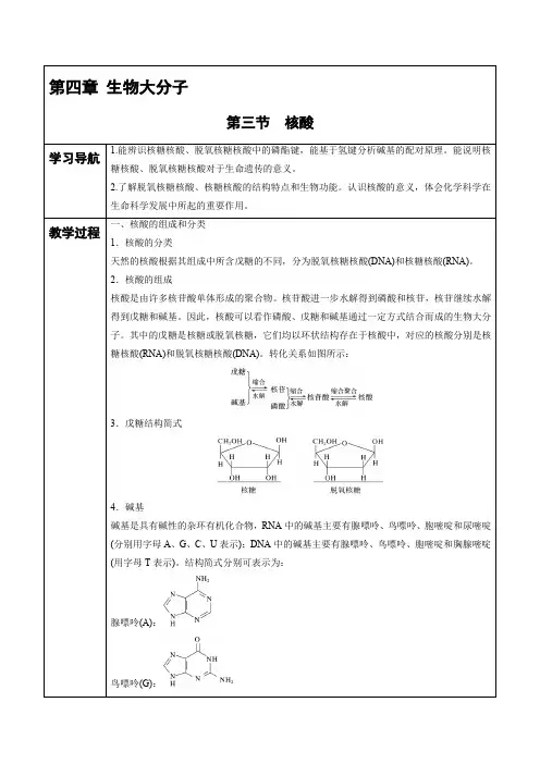 高中化学选择性必修三 第4章 第3节 核酸 讲义