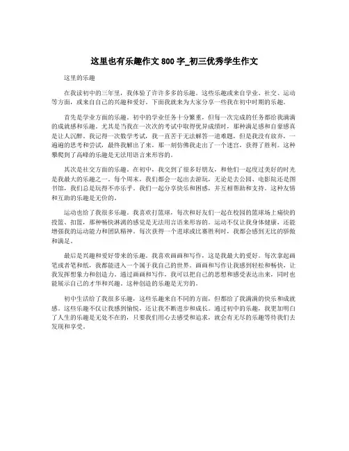 这里也有乐趣作文800字_初三优秀学生作文