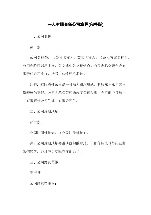 一人有限责任公司章程(完整版)