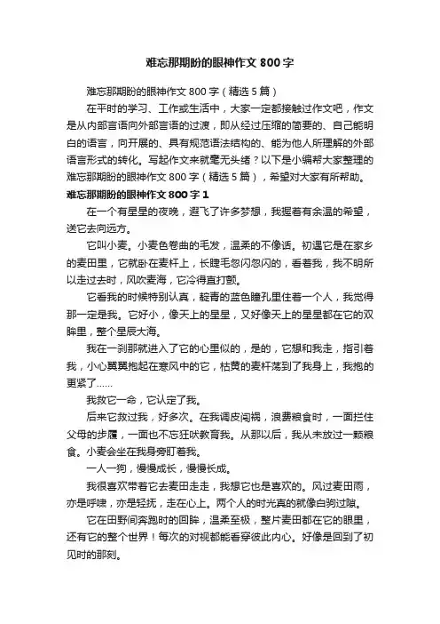难忘那期盼的眼神作文800字（精选5篇）