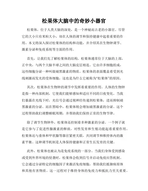 松果体大脑中的奇妙小器官
