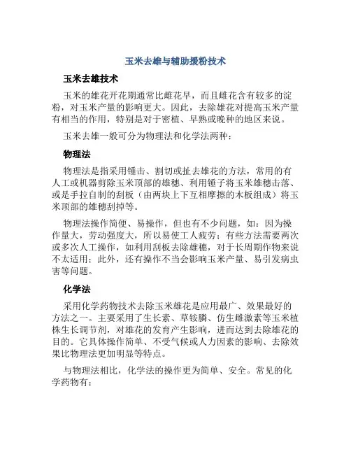 玉米去雄与辅助援粉技术