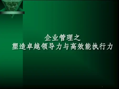塑造卓越领导力与高效能执行力