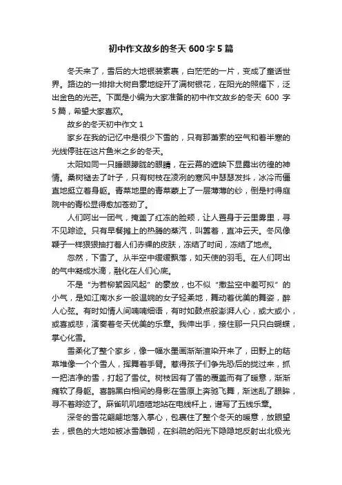 初中作文故乡的冬天600字5篇