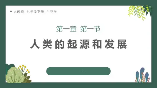 《人类的起源和发展》PPT课件