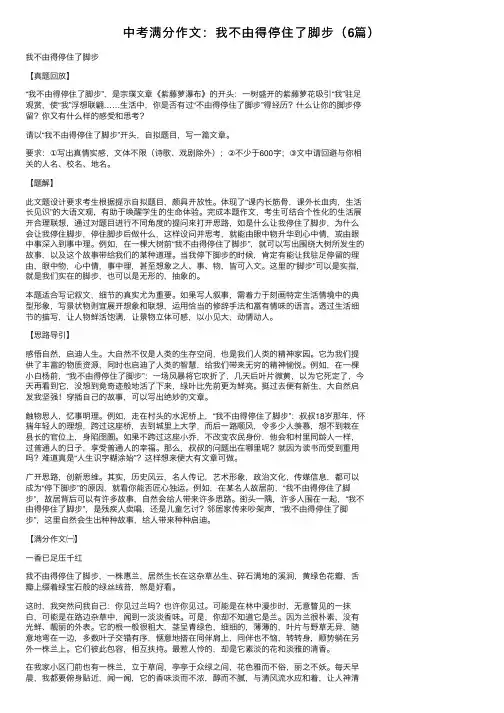 中考满分作文：我不由得停住了脚步（6篇）