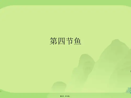 第四节鱼(共15张PPT)