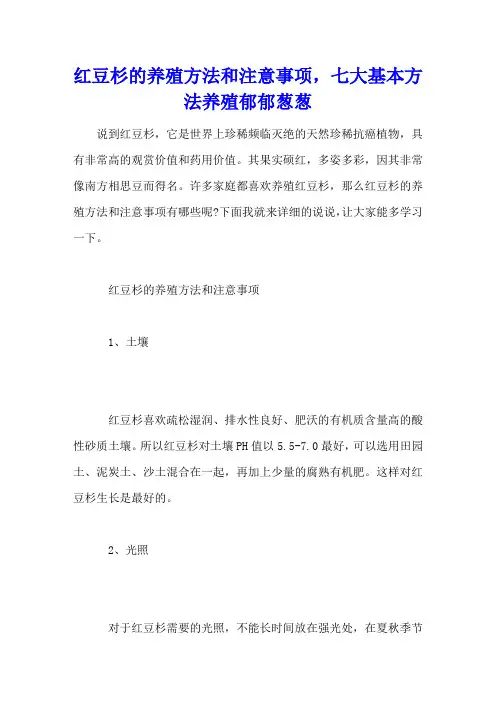 红豆杉的养殖方法和注意事项,七大基本方法养殖郁郁葱葱