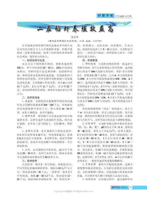 二茬稻虾养殖效益高