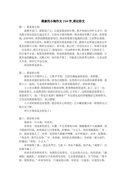 我家的小狗作文250字_周记作文