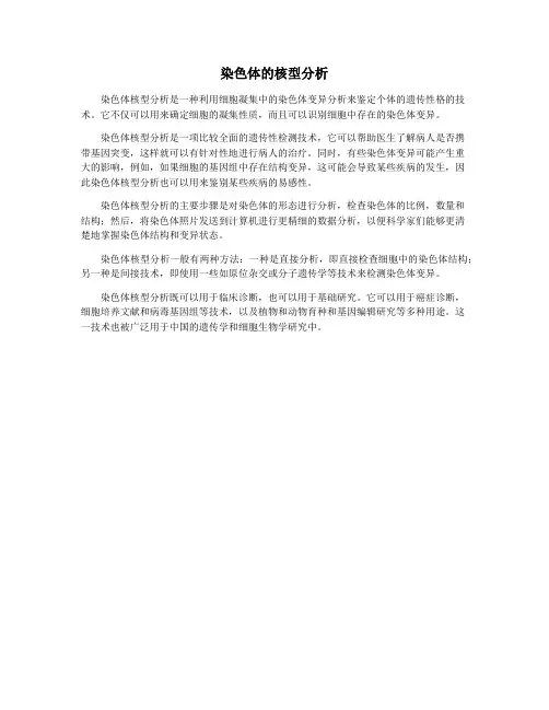 染色体的核型分析