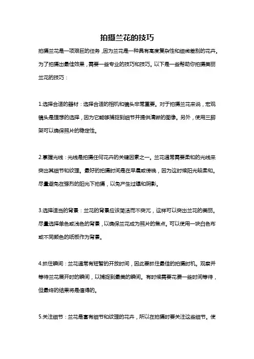拍摄兰花的技巧