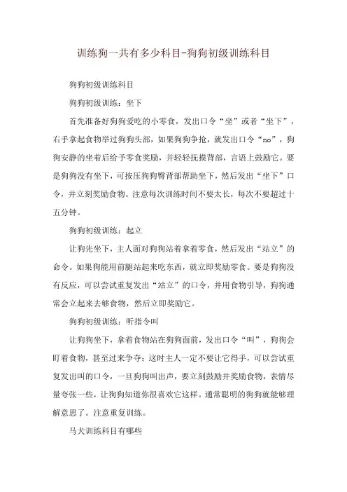 训练狗一共有多少科目-狗狗初级训练科目