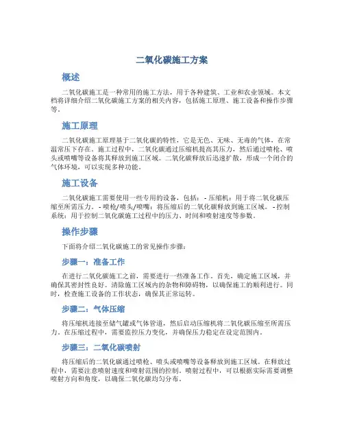 二氧化碳施工方案