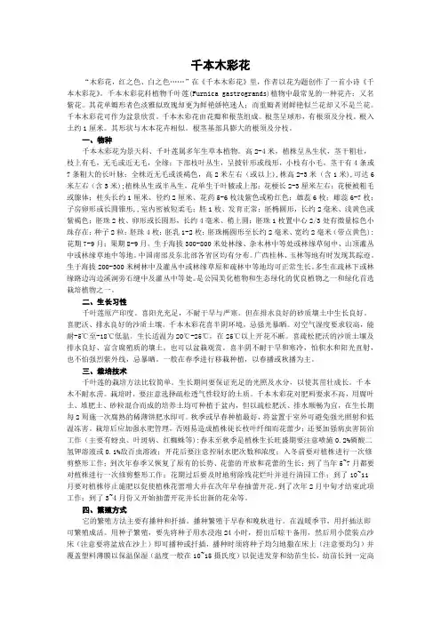千本木彩花