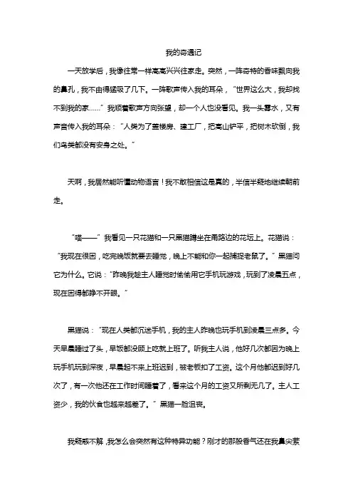 我的奇遇记