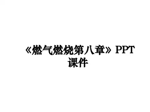 《燃气燃烧第八章》PPT课件